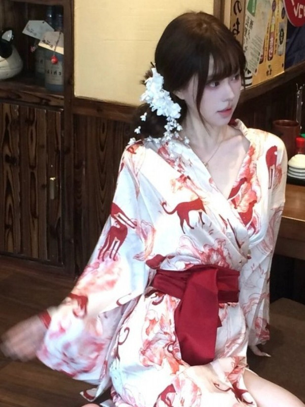 New Chinese Style Sleepwear Ha - Photography Lighting Style recension och pris